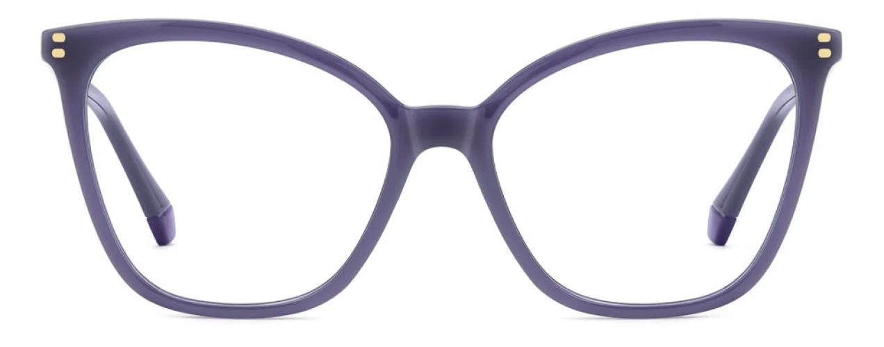 Polaroid Core PLDD579 Eyeglasses - view 2